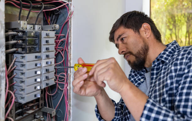 Best Electric Panel Repair  in Gages Lake, IL